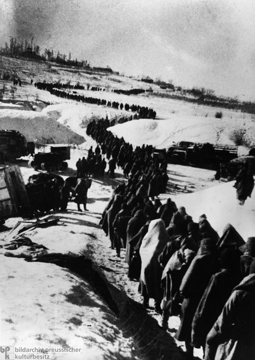 Nach der Schlacht – die Überlebenden der 6. Armee (Februar 1943)